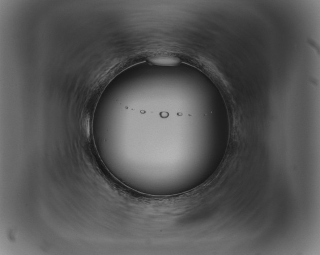 X0000101990021200807181158