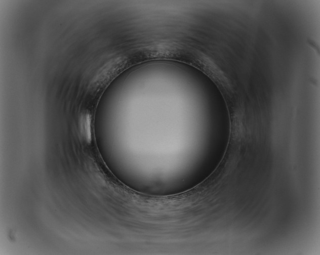 X0000101990022200807181158