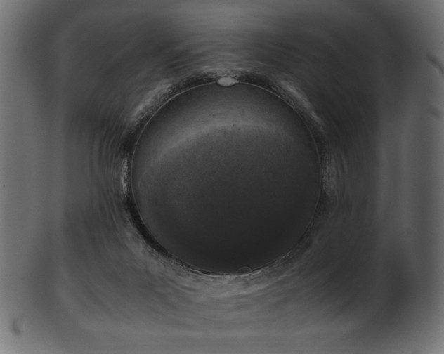 X0000101990023200807181158