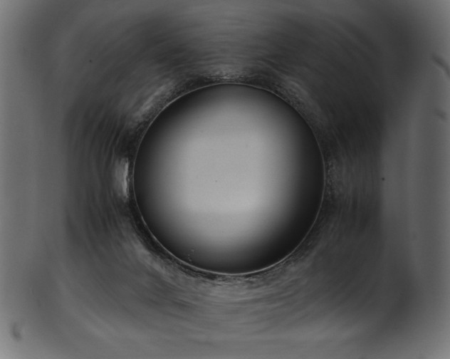 X0000101990024200807181158