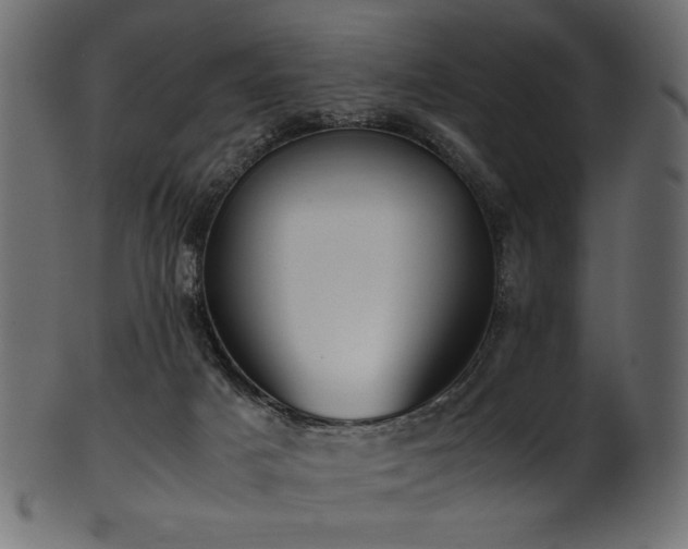X0000101990025200807181158