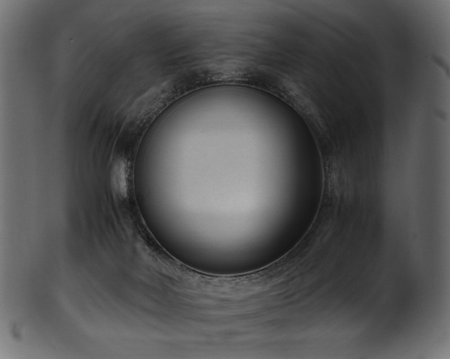 X0000101990026200807181158