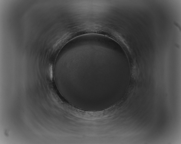 X0000101990027200807181158