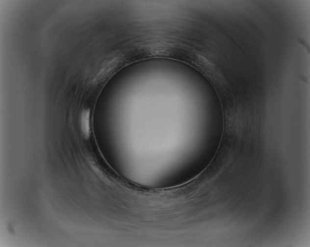 X0000101990028200807181158