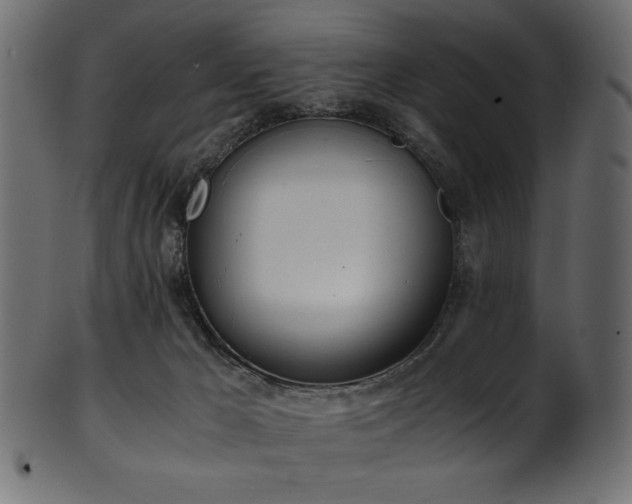 X0000101990029200807181158