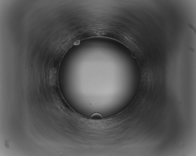 X0000101990030200807181158