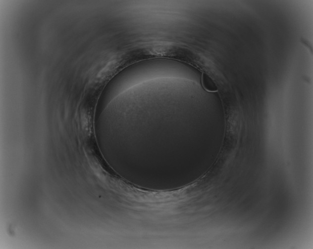 X0000101990031200807181158