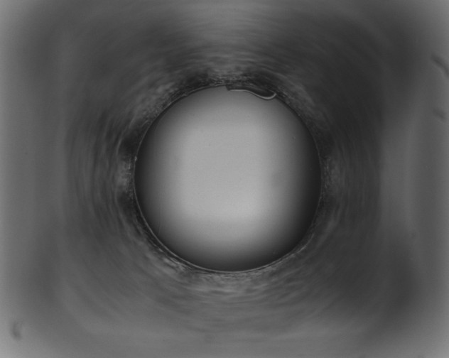 X0000101990033200807181158