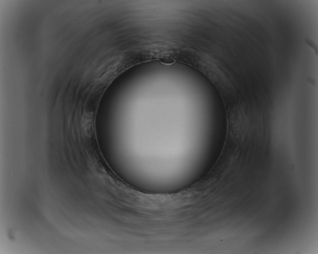 X0000101990034200807181158