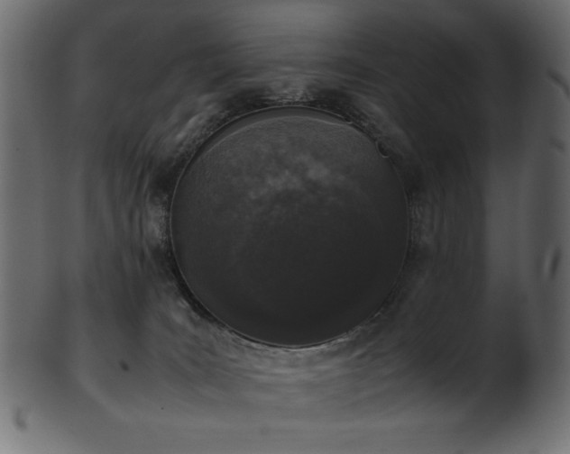 X0000101990035200807181158