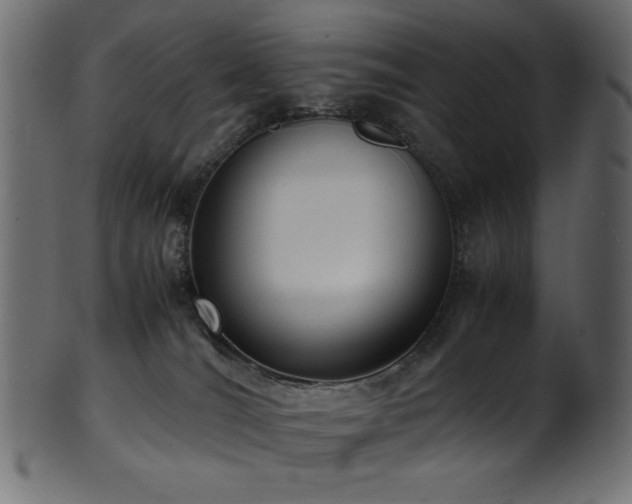 X0000101990036200807181158