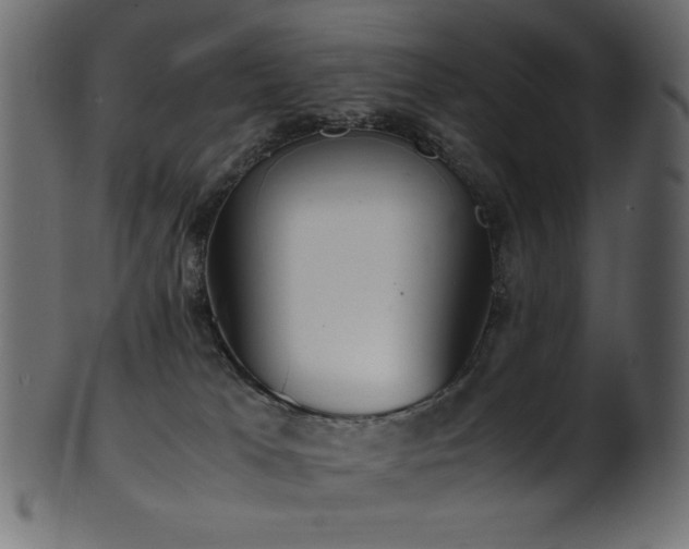 X0000101990037200807181158
