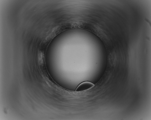 X0000101990038200807181158