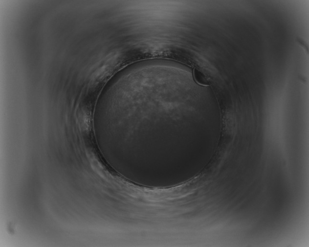X0000101990039200807181158