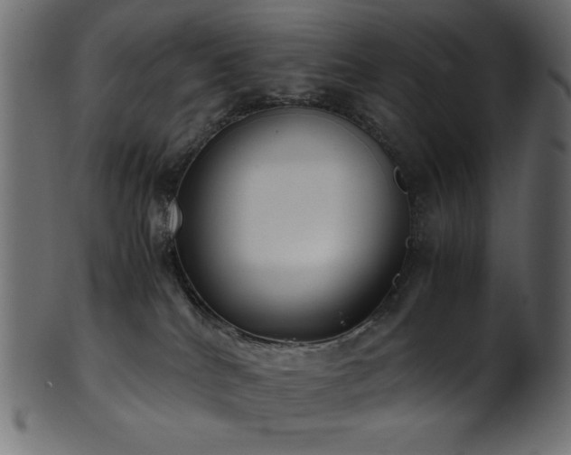 X0000101990040200807181158