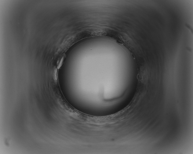 X0000101990041200807181158