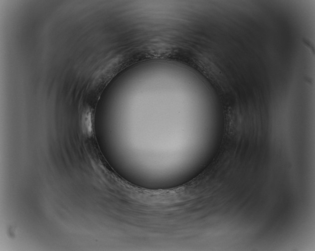 X0000101990042200807181157