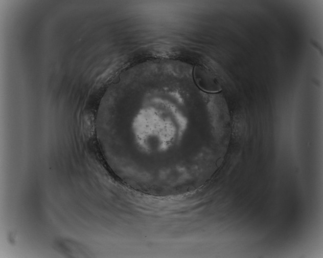 X0000101990043200807181157