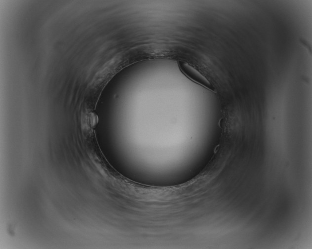 X0000101990044200807181157