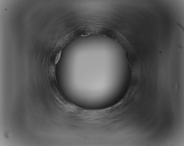 X0000101990045200807181157