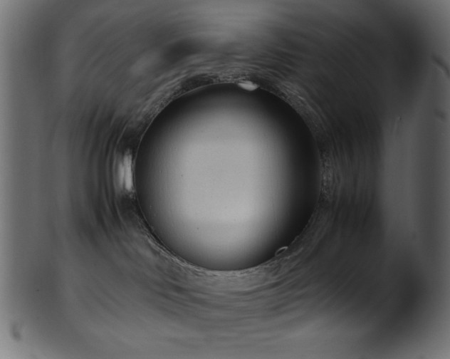 X0000101990046200807181157