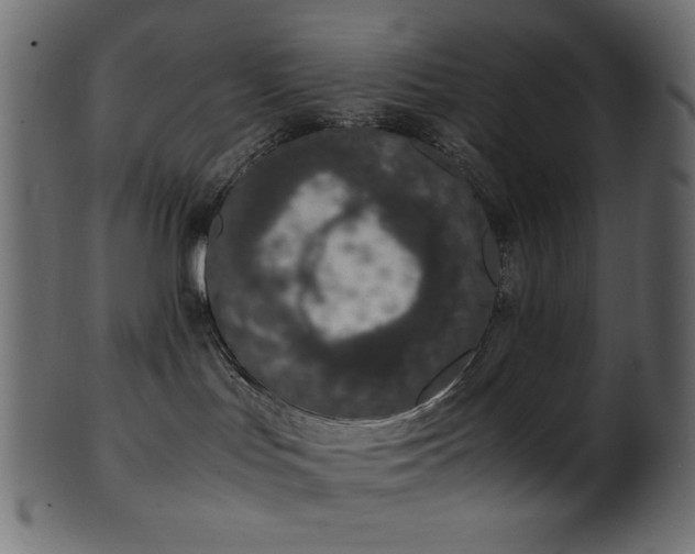 X0000101990047200807181157