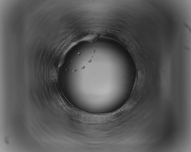 X0000101990048200807181157
