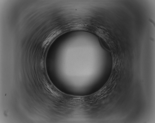 X0000101990050200807181157