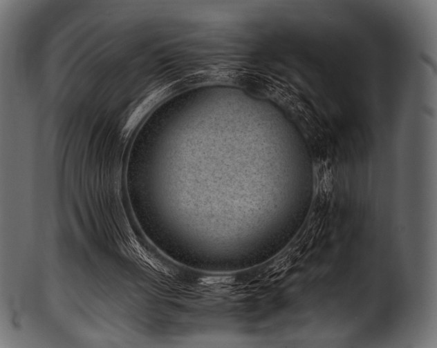 X0000101990051200807181157
