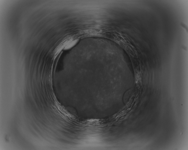 X0000101990052200807181157