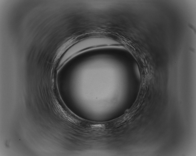 X0000101990053200807181157