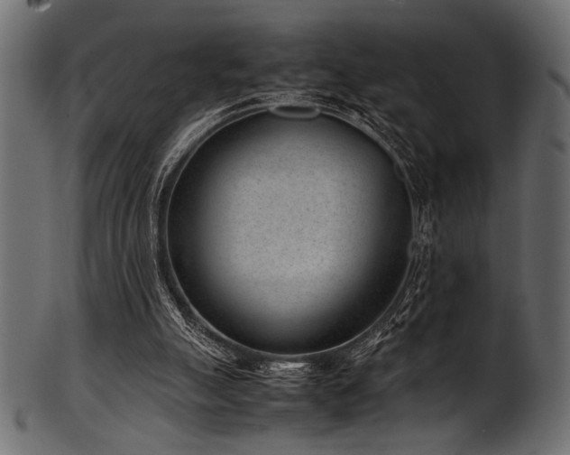 X0000101990055200807181157