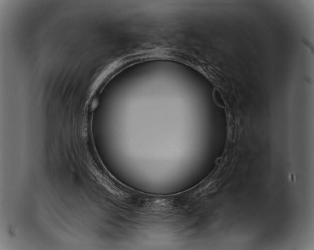 X0000101990056200807181157