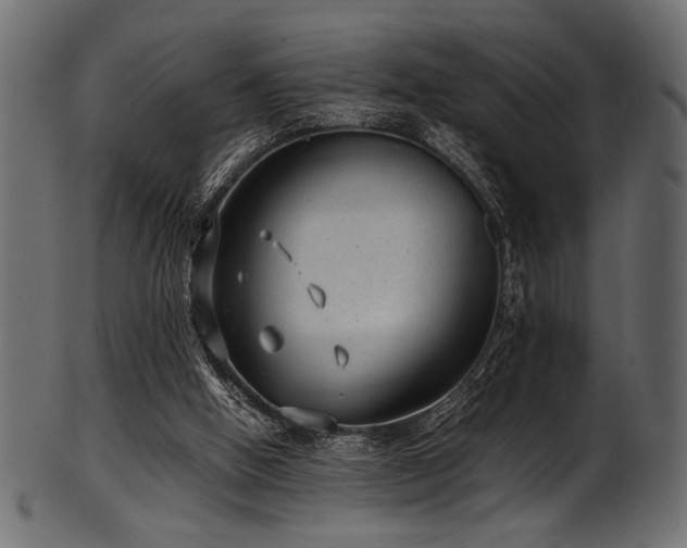 X0000101990058200807181157