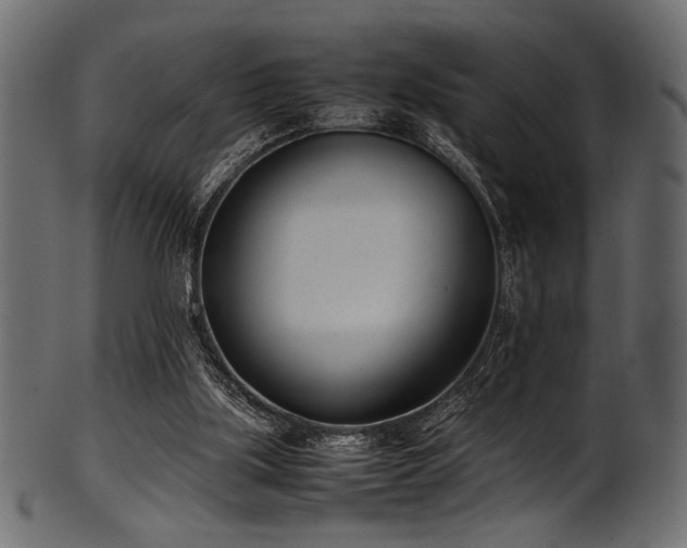 X0000101990059200807181157
