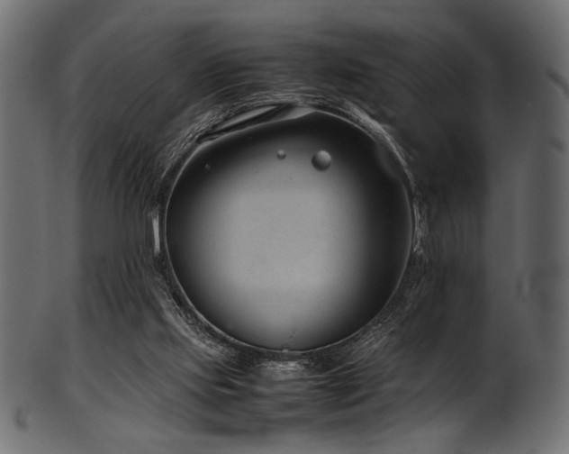 X0000101990061200807181157