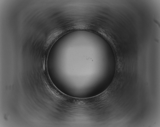 X0000101990062200807181157