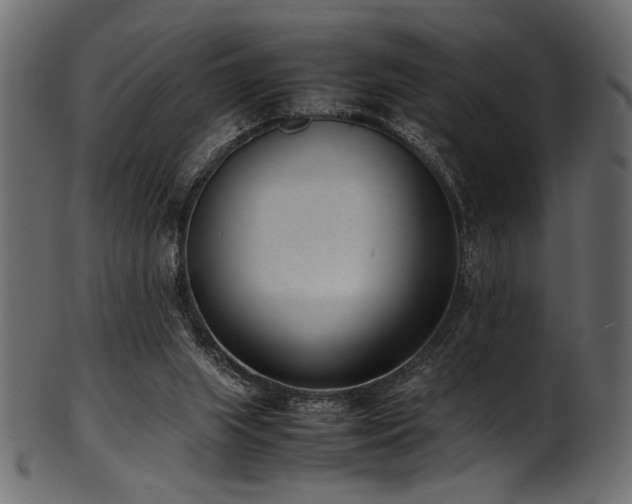 X0000101990063200807181157