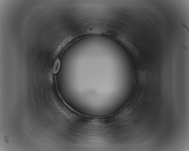 X0000101990064200807181157