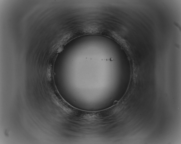 X0000101990065200807181157