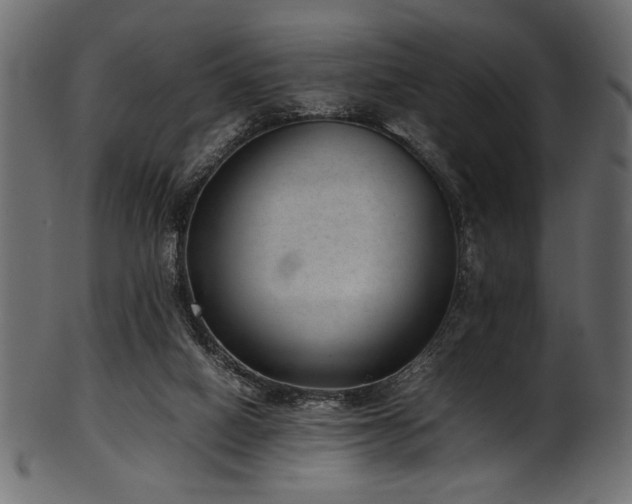X0000101990066200807181157