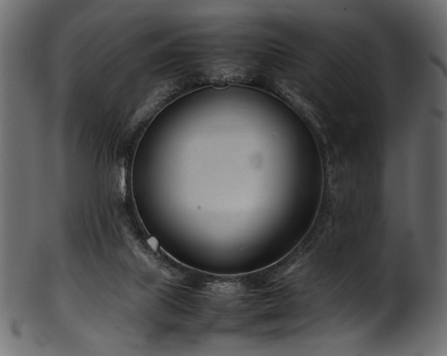 X0000101990067200807181157