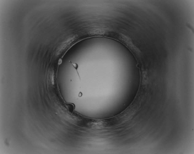 X0000101990068200807181157