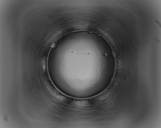 X0000101990069200807181157