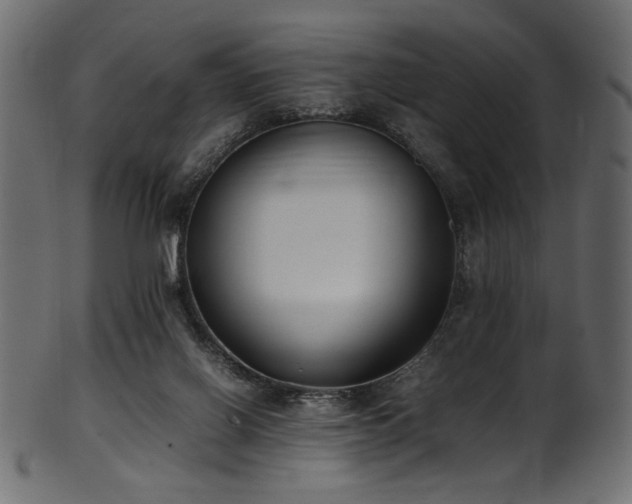 X0000101990070200807181157