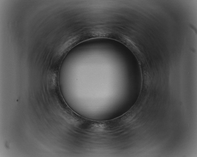 X0000101990071200807181157