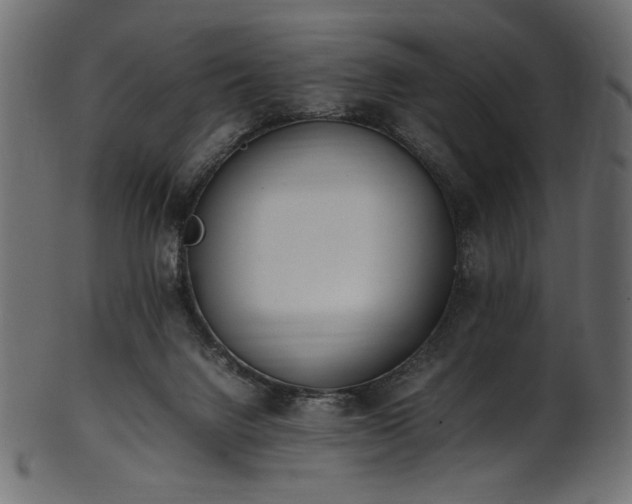 X0000101990072200807181157