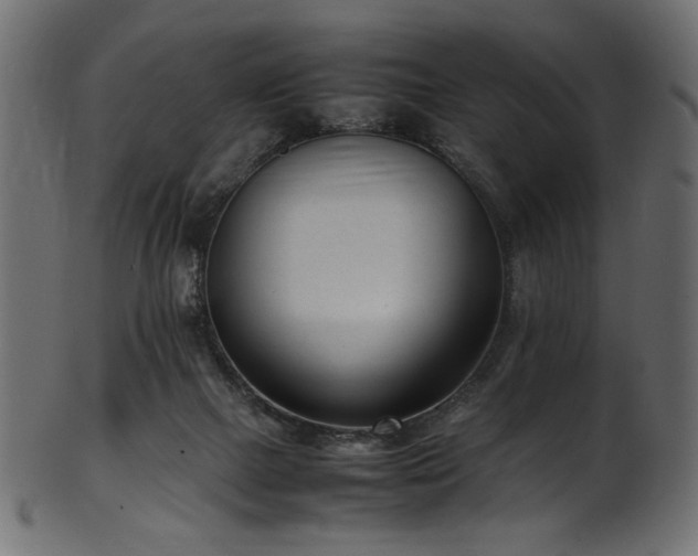 X0000101990073200807181157