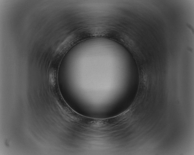 X0000101990074200807181157