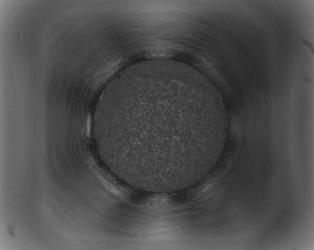 X0000101990076200807181157